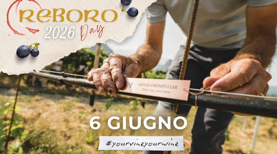 Reboro day 2026
