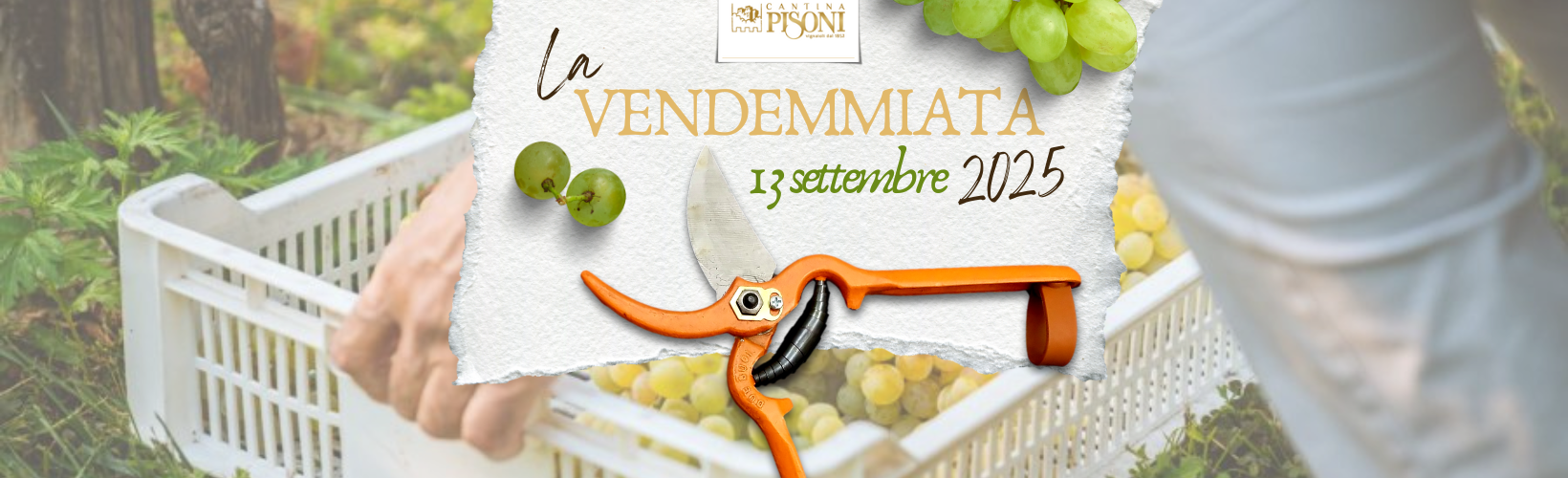 Facebook Cover